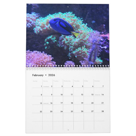 Onderwater Kalender (Feb 2026)