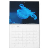 Onderwater Kalender (Jan 2027)