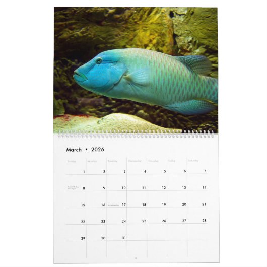Onderwater Kalender (Mar 2026)