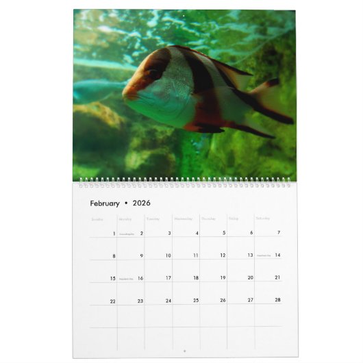 Onderwater Kalender (Feb 2026)