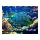 Onderwater Kalender (Hoes)