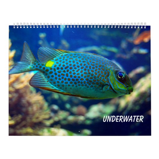 Onderwater Kalender (Hoes)