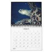 onderwater kalender 2010 (Mar 2027)