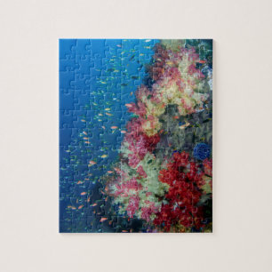 Onderwater koraalrif, Indonesië Legpuzzel