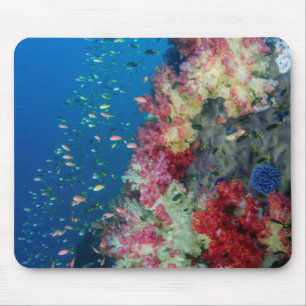 Onderwater koraalrif, Indonesië Muismat