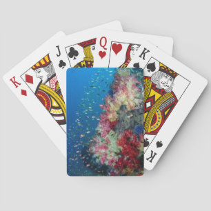 Onderwater koraalrif, Indonesië Pokerkaarten