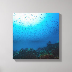 Onderwater landschap op een zomerdag canvas afdruk