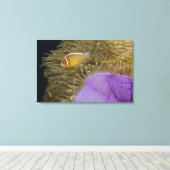 Onderwater LIfe; VIS: Clownvis (roze) Canvas Afdruk (Insitu (Houten vloer))