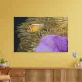 Onderwater LIfe; VIS: Clownvis (roze) Canvas Afdruk (Insitu (Woonkamer))