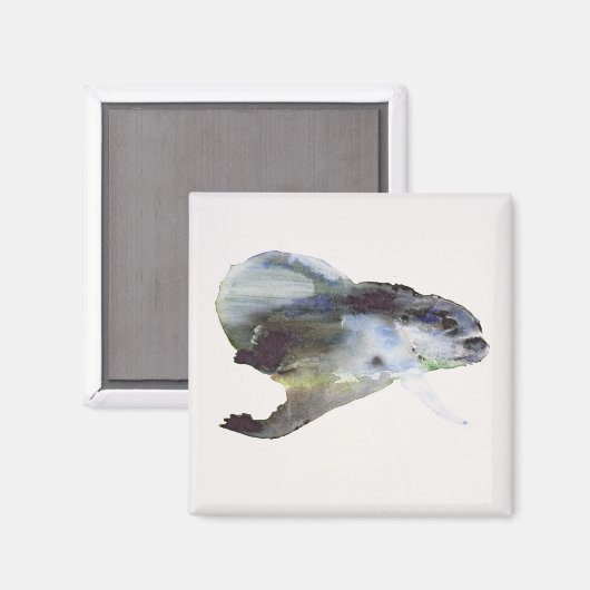 Onderwater Magneet (Voorkant / Achterkant)