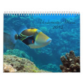 Onderwater Maui Kalender (Hoes)