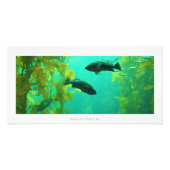 "Onderwater Oasis" Natuur fotoprint Foto Afdruk (Voorkant)