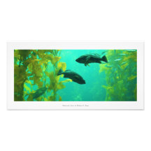 "Onderwater Oasis" Natuur fotoprint