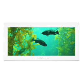 "Onderwater Oasis" Natuur fotoprint Foto Afdruk