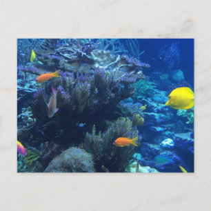 Onderwater Oceaanwereld En Zomer Verhaal Briefkaart