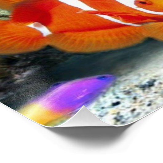 Onderwater Perfect Poster (Hoek)