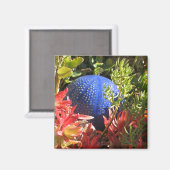 Onderwater Plant Tuin met Orb Magnet (Voorkant / Achterkant)