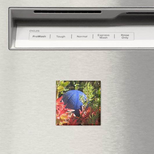 Onderwater Plant Tuin met Orb Magnet (Insitu (Vaatwasser))