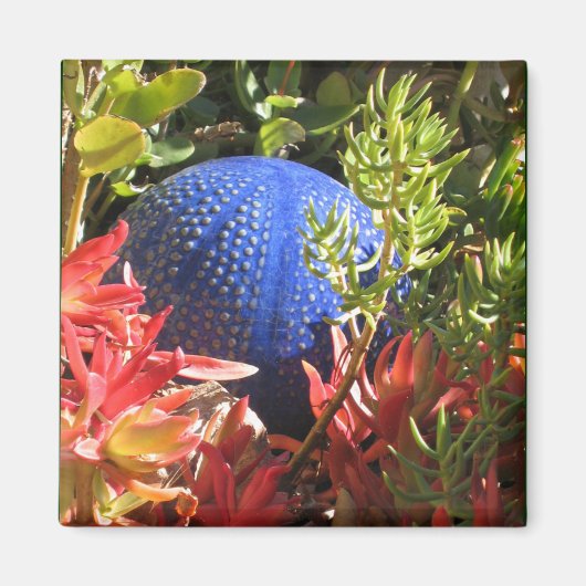 Onderwater Plant Tuin met Orb Magnet (Voorkant)