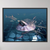 Onderwater Poster (Voorkant)