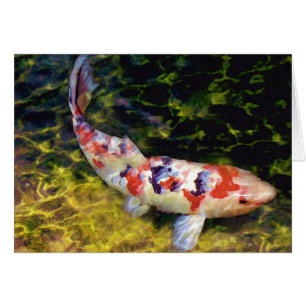 Onderwater Sanke Koi