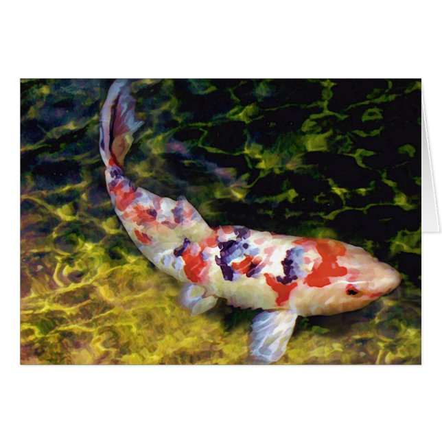 Onderwater Sanke Koi (Voorkant Horizontaal)