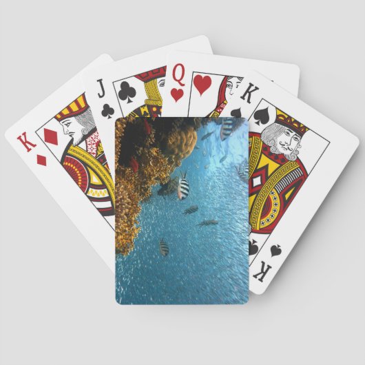 Onderwater Schoonheid, Vis en Koraal Pokerkaarten (Achterkant)