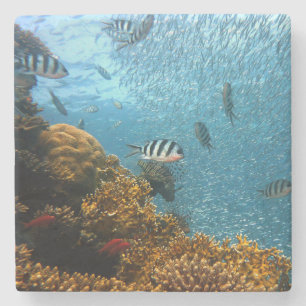 Onderwater Schoonheid, Vis en Koraal Stenen Onderzetter