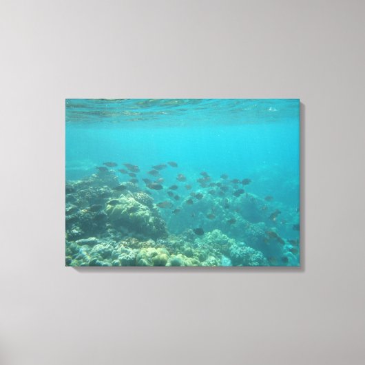 Onderwater tropisch visscènedoek canvas afdruk (Voorkant)