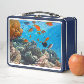 Onderwater vissen en koraal scène (In situ)