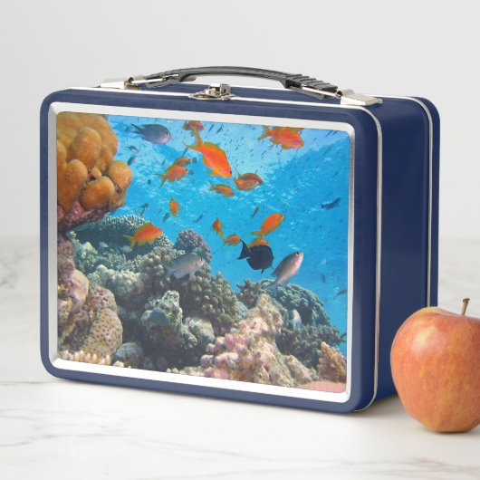 Onderwater vissen en koraal scène (In situ)