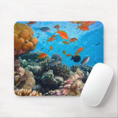 Onderwater vissen en koraal scène muismat (Met muis)