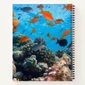Onderwater vissen en koraal scène notitieboek (Achterkant)
