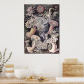 Onderwater Zee Anemones door Ernst Haeckel Poster (Keuken)