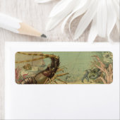 Onderwater Zee leven garnalen,  oceaandieren Etiket (Insitu)