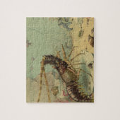 Onderwater Zee leven garnalen, oceaandieren Legpuzzel (Verticaal)