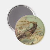 Onderwater Zee leven garnalen,  oceaandieren Magneet (Voorkant / Achterkant)