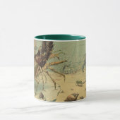 Onderwater Zee leven garnalen,  oceaandieren Mok (Midden)