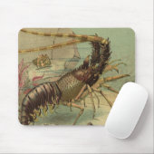 Onderwater Zee leven garnalen,  oceaandieren Muismat (Met muis)