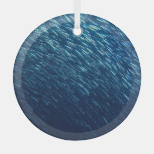 Onderwater Zee Visschool Abstract Glas Ornament