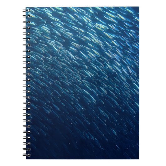 Onderwater Zee Visschool Abstract Notitieboek (Voorkant)
