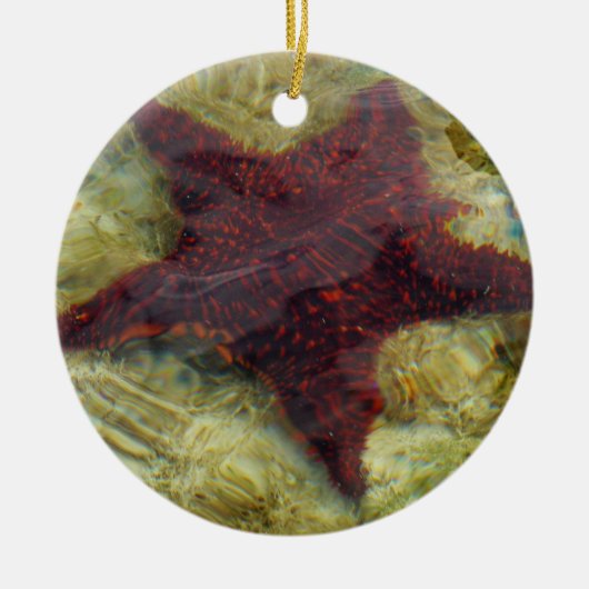 Onderwater Zeester in de Bahama's Keramisch Ornament (Voorkant)