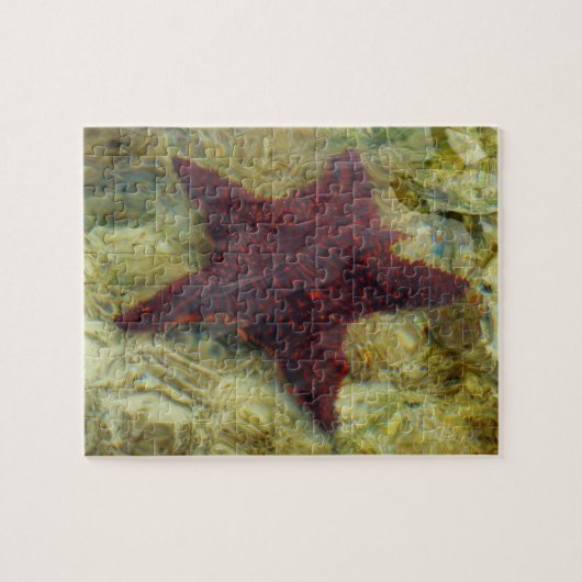 Onderwater Zeester in de Bahama's Legpuzzel (Horizontaal)