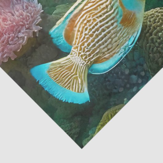 Onderwater Zonneschijn & Tangs, Ontwerp 4 Weefseld Tissuepapier (Detail)