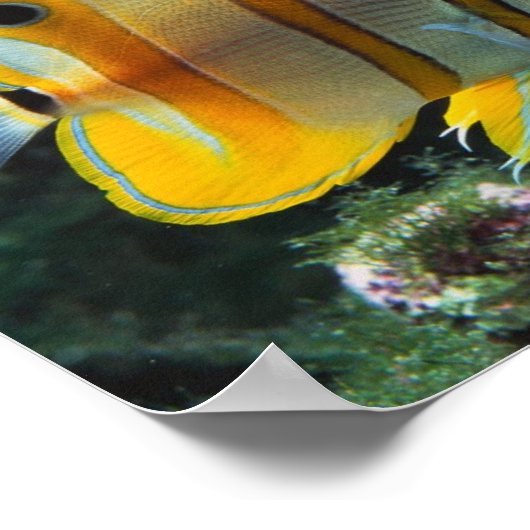 Onderwateravontuur Poster (Hoek)