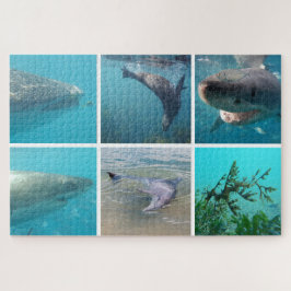 Onderwaterdieren, 1014 stuks legpuzzel