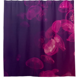 ONDERWATERFOTO VAN JELLYFISH DOUCHEGORDIJN