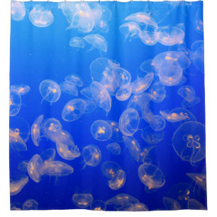 ONDERWATERFOTO VAN JELLYFISH DOUCHEGORDIJN