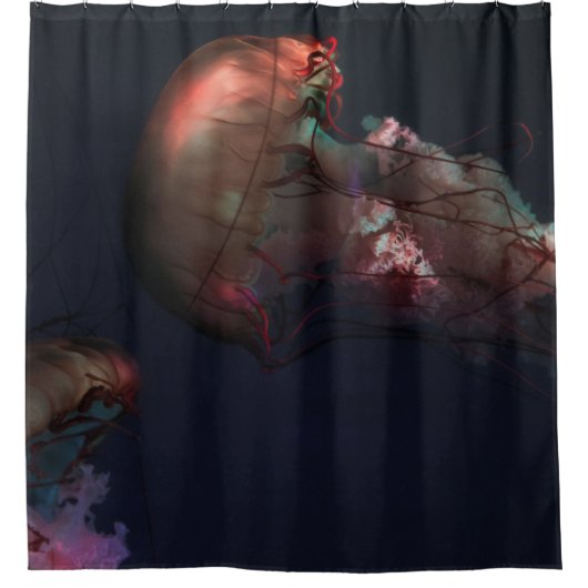 ONDERWATERFOTO VAN TWEE RODE JELLYFISH DOUCHEGORDIJN (Voorkant)