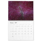 Onderwatergids, kalender van 24 maanden (Feb 2027)